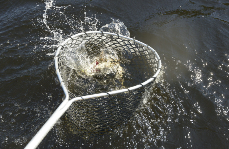 Fishing at Elk Lake Wilderness Resort.