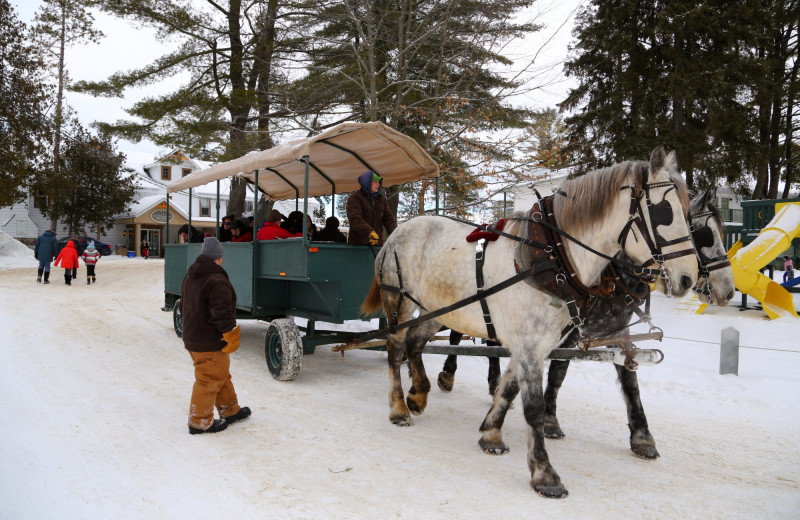 Sleigh ride at Bayview Wildwood Resort.