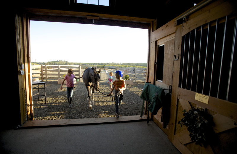 Horseback riding near Seabrook Cottage Rentals.