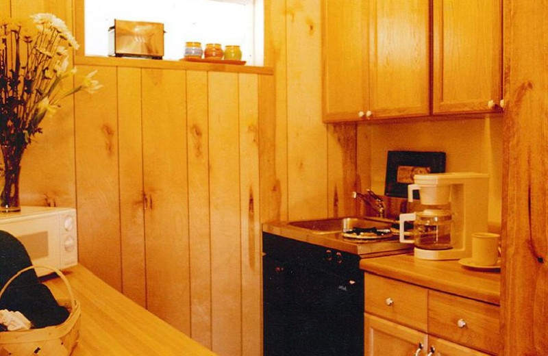 Lodge Kitchenette at West Winds Lodge