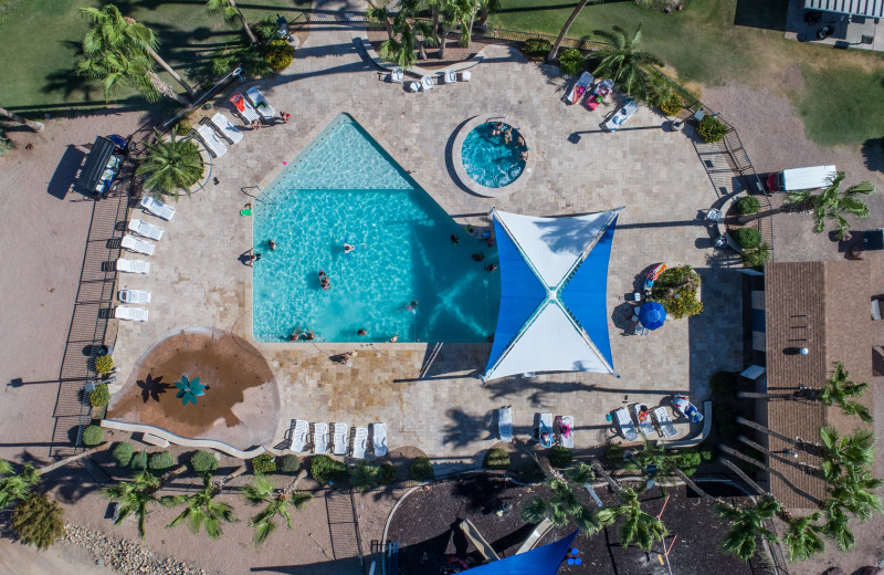 Outdoor pool at Havasu Springs Resort.
