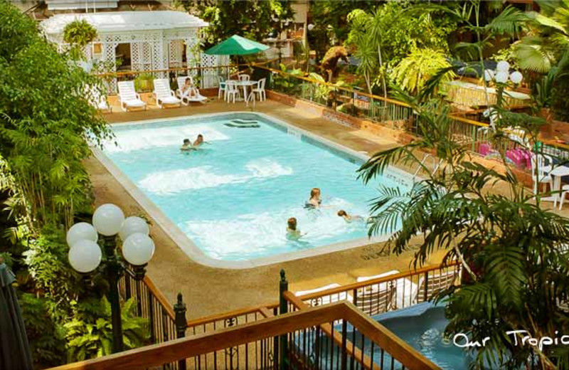 Tropical courtyard pool at Cairn Croft Best Western Plus Hotel.