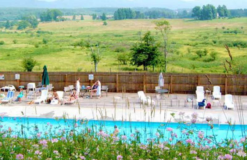 Outdoor pool at Black Bear Resort.