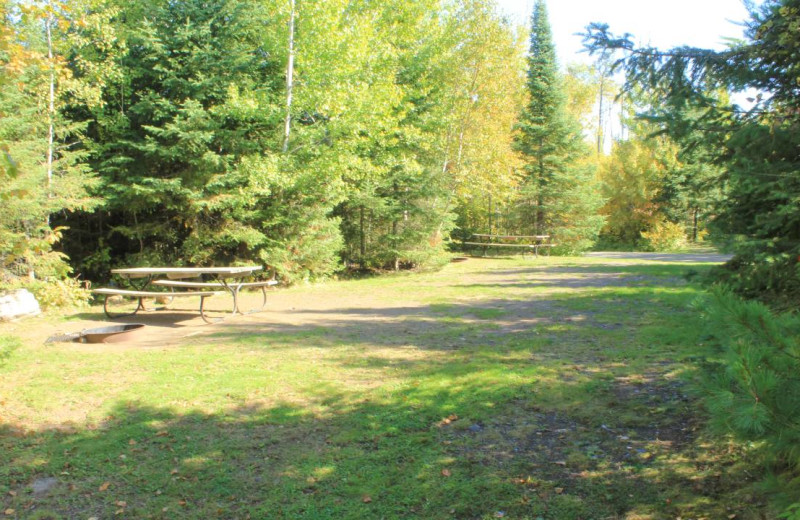 Campground at Golden Eagle Lodge.