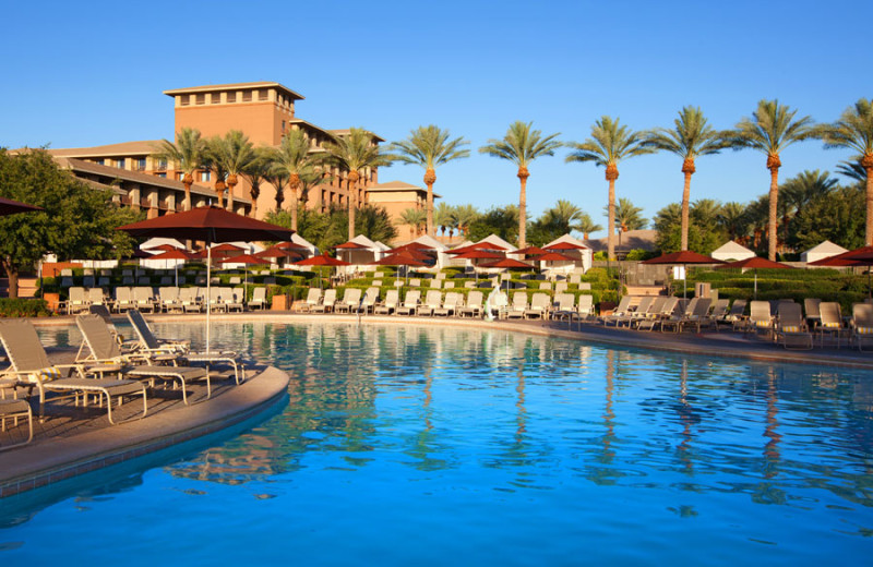Outdoor pool at The Westin Kierland Resort & Spa.