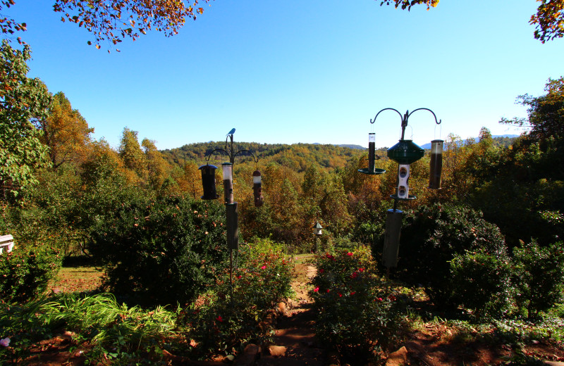 The grounds at Orchard Inn and Cottages.