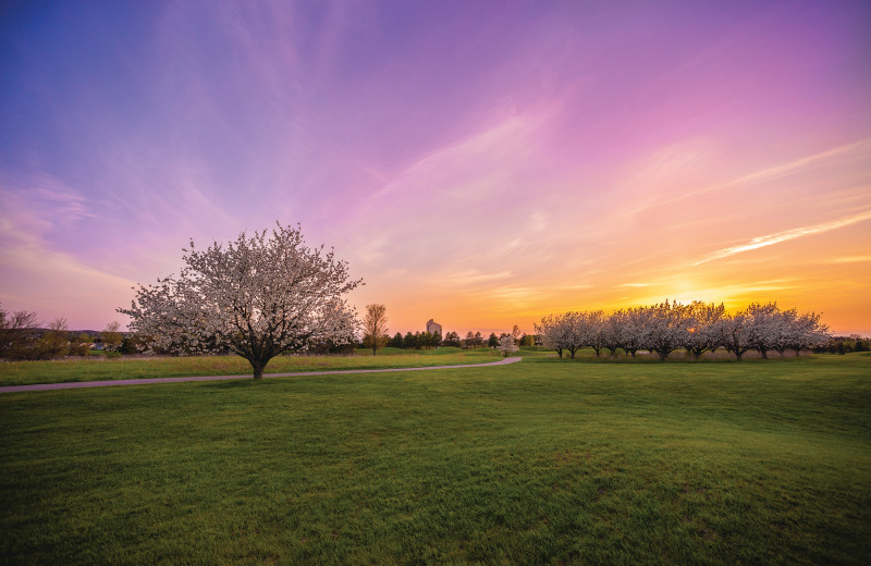 Golf course at Grand Traverse Resort and Spa.