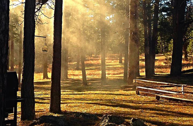 Grounds at Silver Mountain Resort and Cabins.