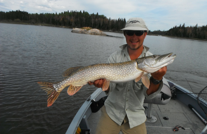 Fishing at Maynard Lake Lodge and Outpost.