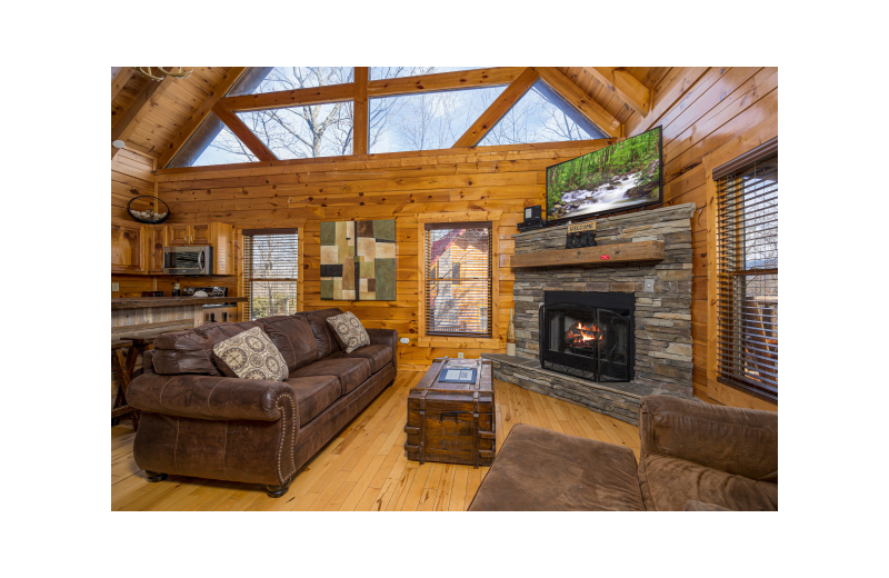 Living room at American Patriot Getaways - Bear Pause Cabin.