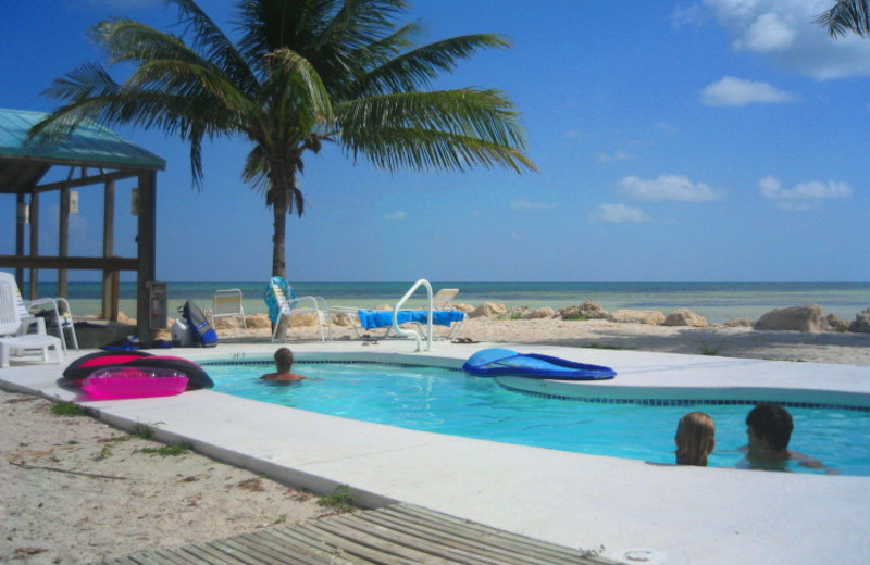 Outdoor pool at Bonefish Resort.