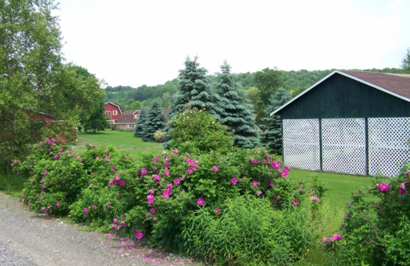 Exterior view of Fieldstone Farm.