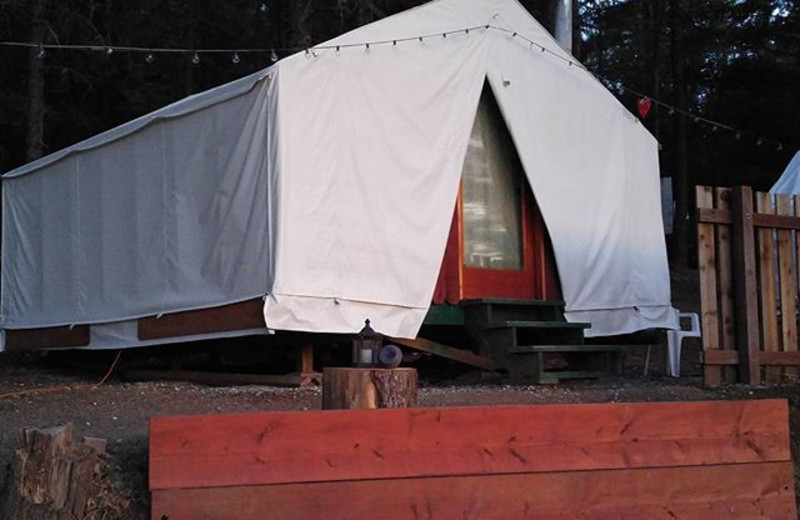 Tent exterior at Precious Forest.