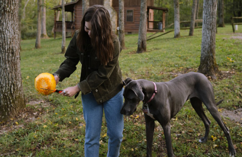 Pets welcome at Chalets in Hocking Hills.