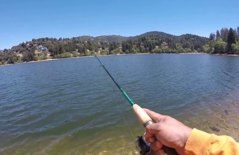 Fishing at Arrowhead Pine Rose Cabins.