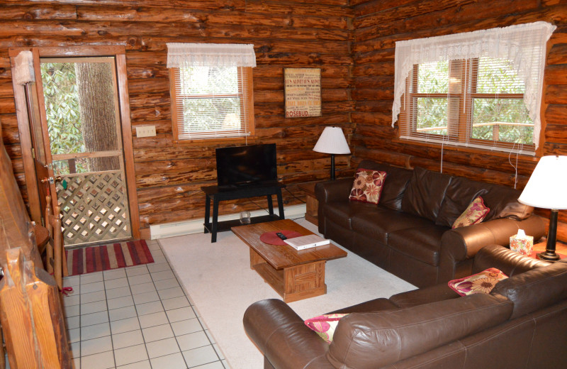 Rental living room at Stay Waterfront - Cheat River Lodge & Cabins.