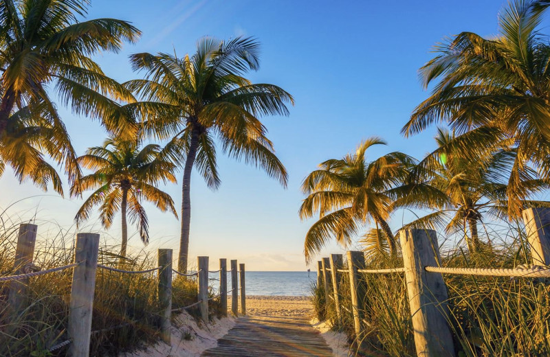 Beach near Travelers Palm Key West.