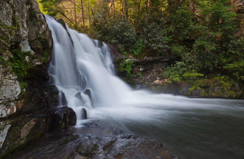 Waterfall near Alpine Mountain Chalets.