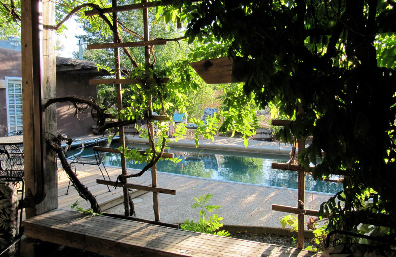 Outdoor pool at Sarabande Bed & Breakfast.