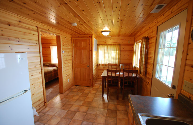 Cabin kitchen at Birch Forest Lodge.