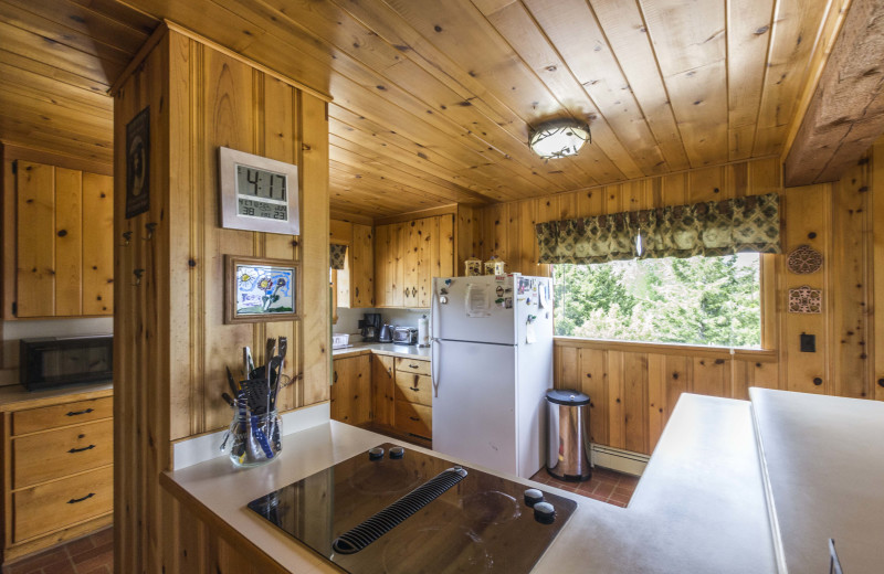 Rental kitchen at Madison Management.