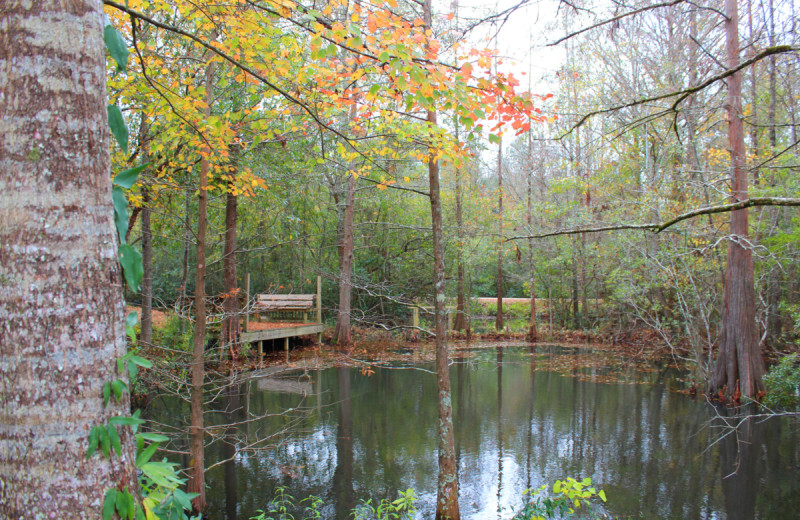 Lake at Berry Creek Cabins.