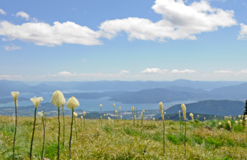 Scenic view at Schweitzer Mountain Resort and Selkirk Lodge.