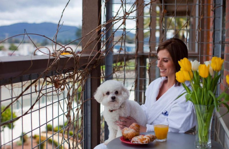 Pets welcome at Napa River Inn.