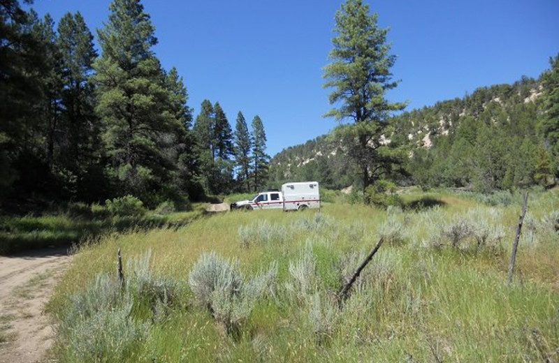 Nature hikes at Zion Ponderosa Ranch.