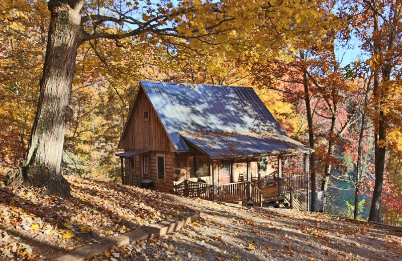 Cabin view at Rock Creek Cabins