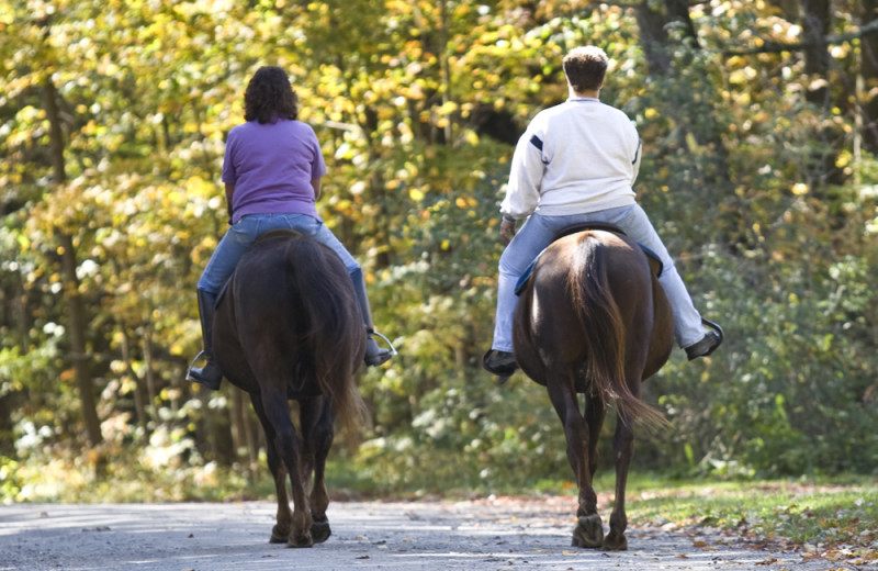 Horseback riding at Johnny Seesaw's.