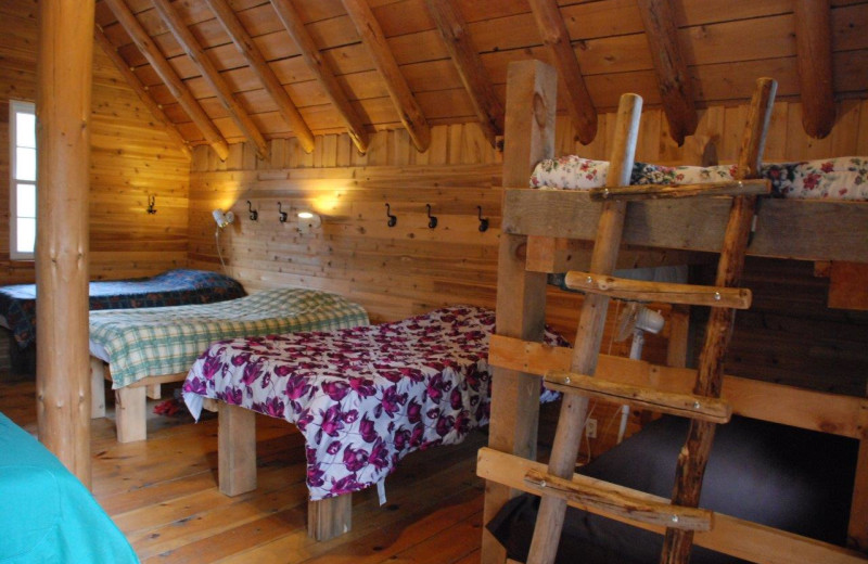 Cabin bedroom at Wolf Den Hostel and Nature Retreat.