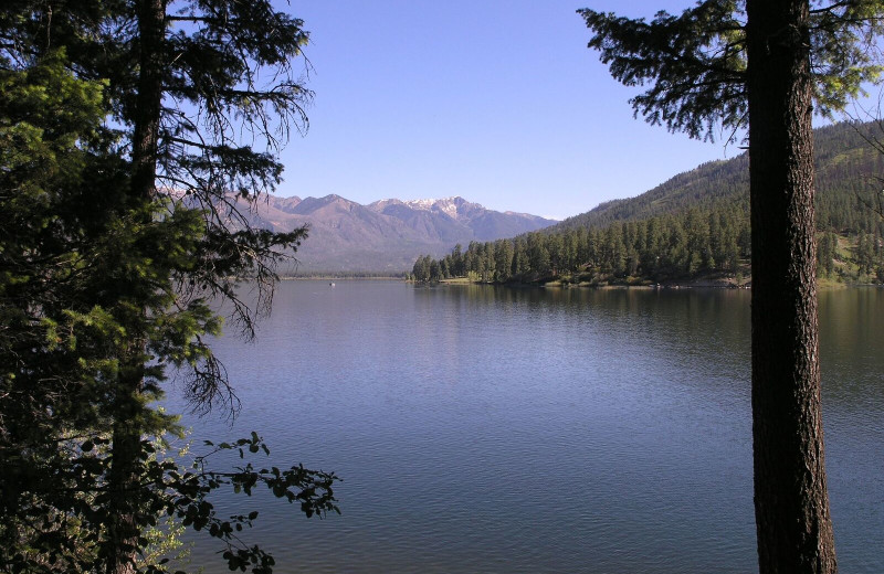 Lake view at Pine River Lodge.