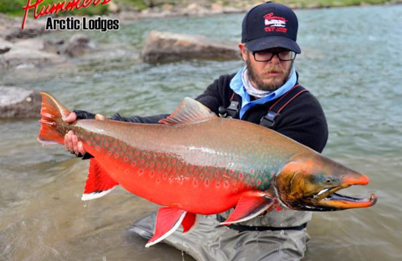 Fishing at Plummer's Arctic Fishing Lodges.