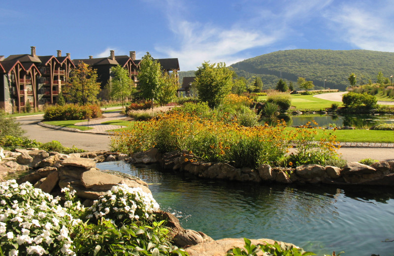 Exterior view of Crystal Springs Resort.