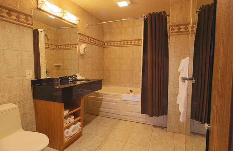 Guest bathroom at Kalahari Waterpark Resort Convention Center.