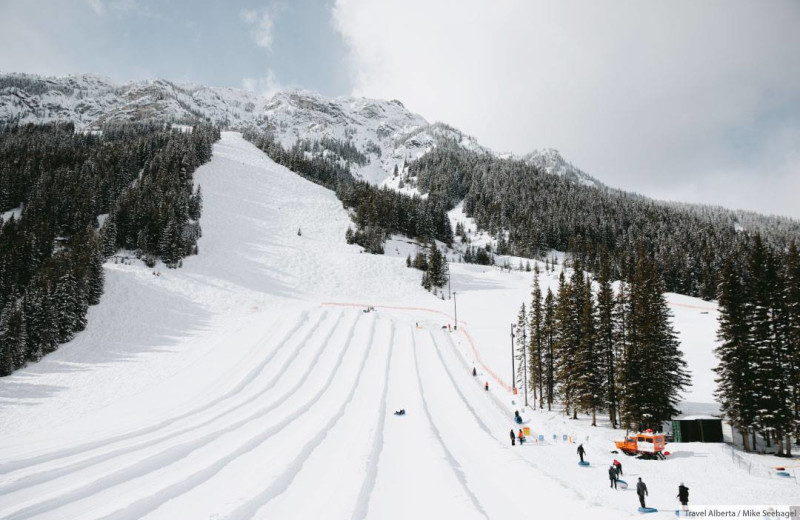 Skiing near Banff Caribou Lodge & Spa.