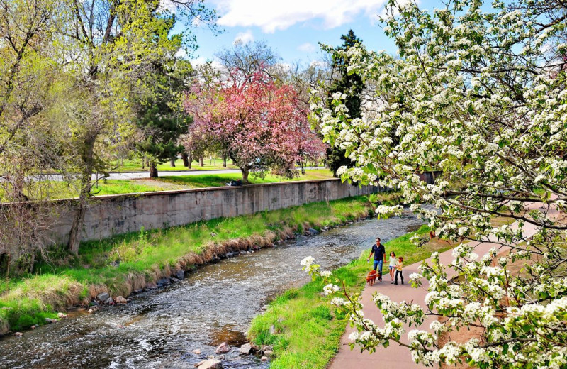 Creek near Hotel Clio, a Luxury Collection Hotel, Denver Cherry Creek.