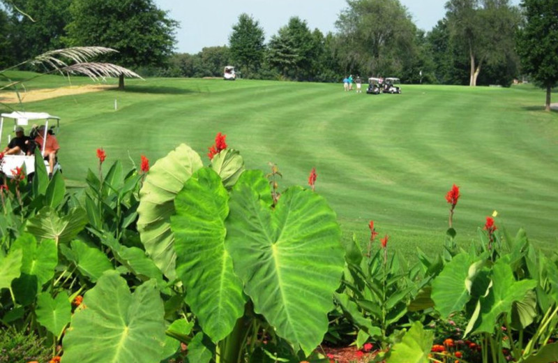 Golf Course at Dogwood Hills Golf Resort