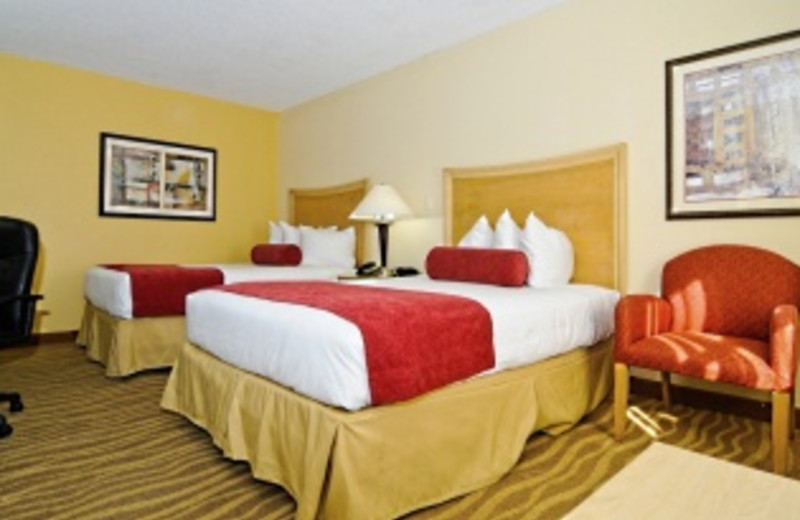 Guest Room at Best Western Plus