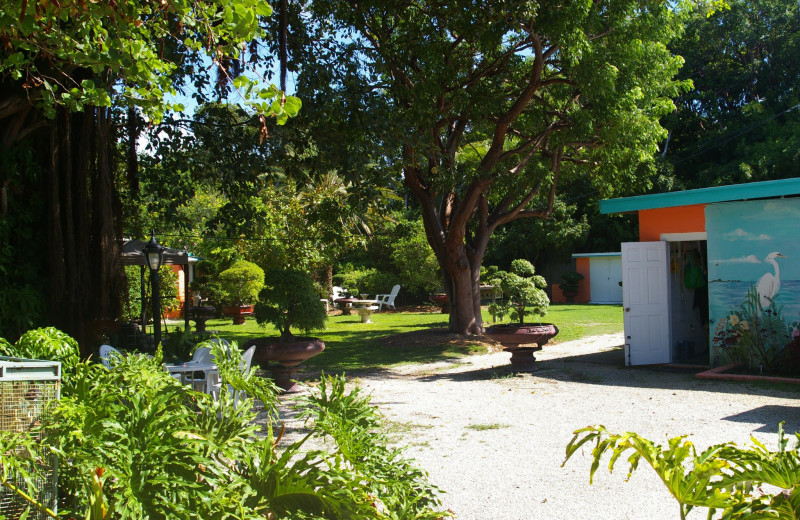 Grounds at Rock Reef Resort.