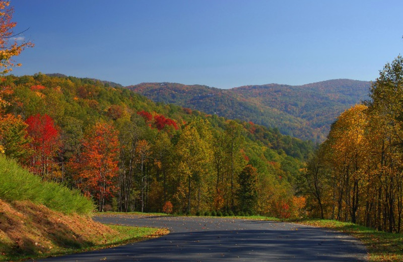 Fall foliage at Foscoe Rentals.