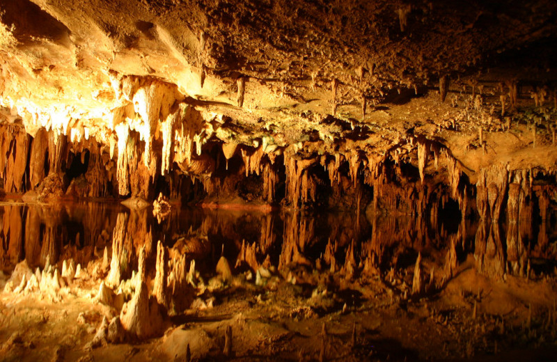 Caves at The Alcove at Luray.