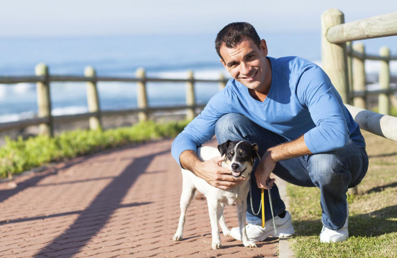 Pets welcome at One Ocean Resort & Spa.