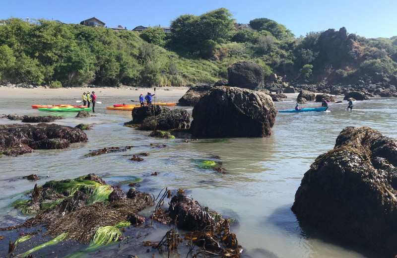 Beach at Trinidad Retreats.