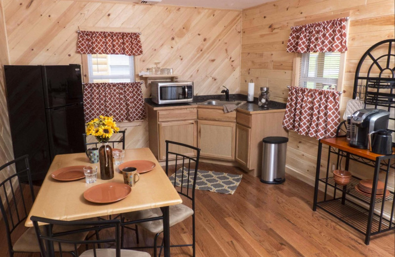 Cabin kitchen at Catskill Mountains Resort.