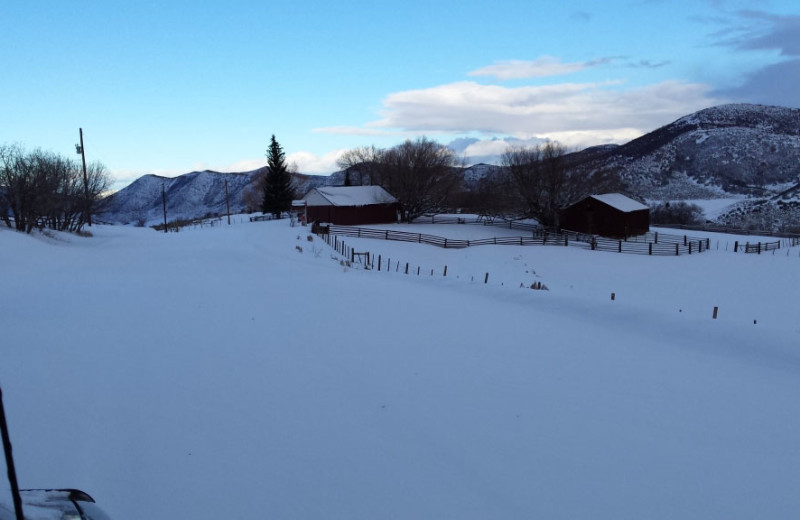 Scenic view of Wild Skies Cabin Rentals.