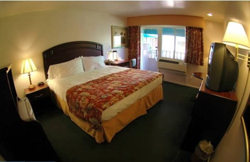 Guest room at Forest Villas Hotel.