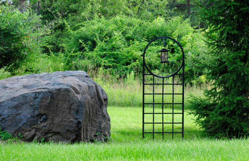 Yard view at Moondance Ridge Bed & Breakfast.