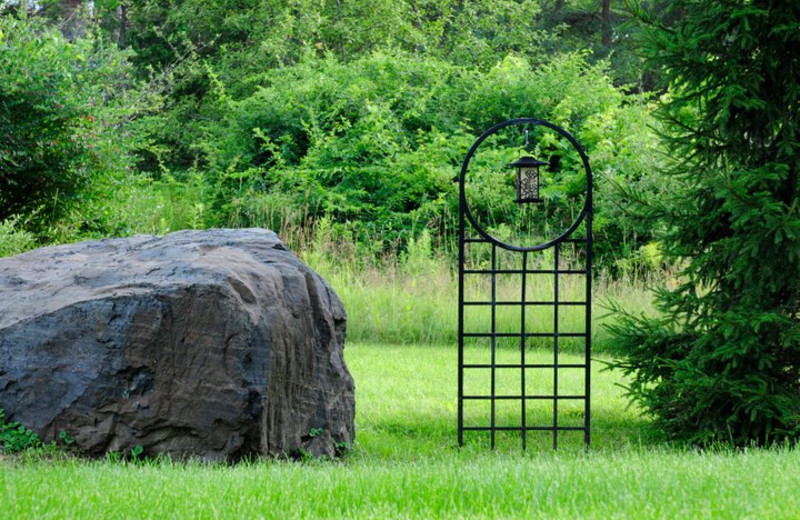 Yard view at Moondance Ridge Bed & Breakfast.